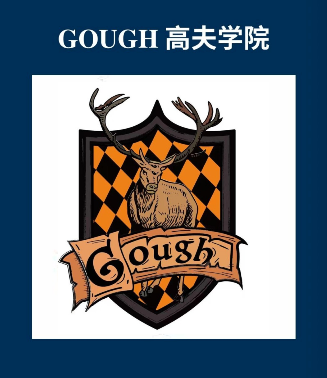 图片 14.png