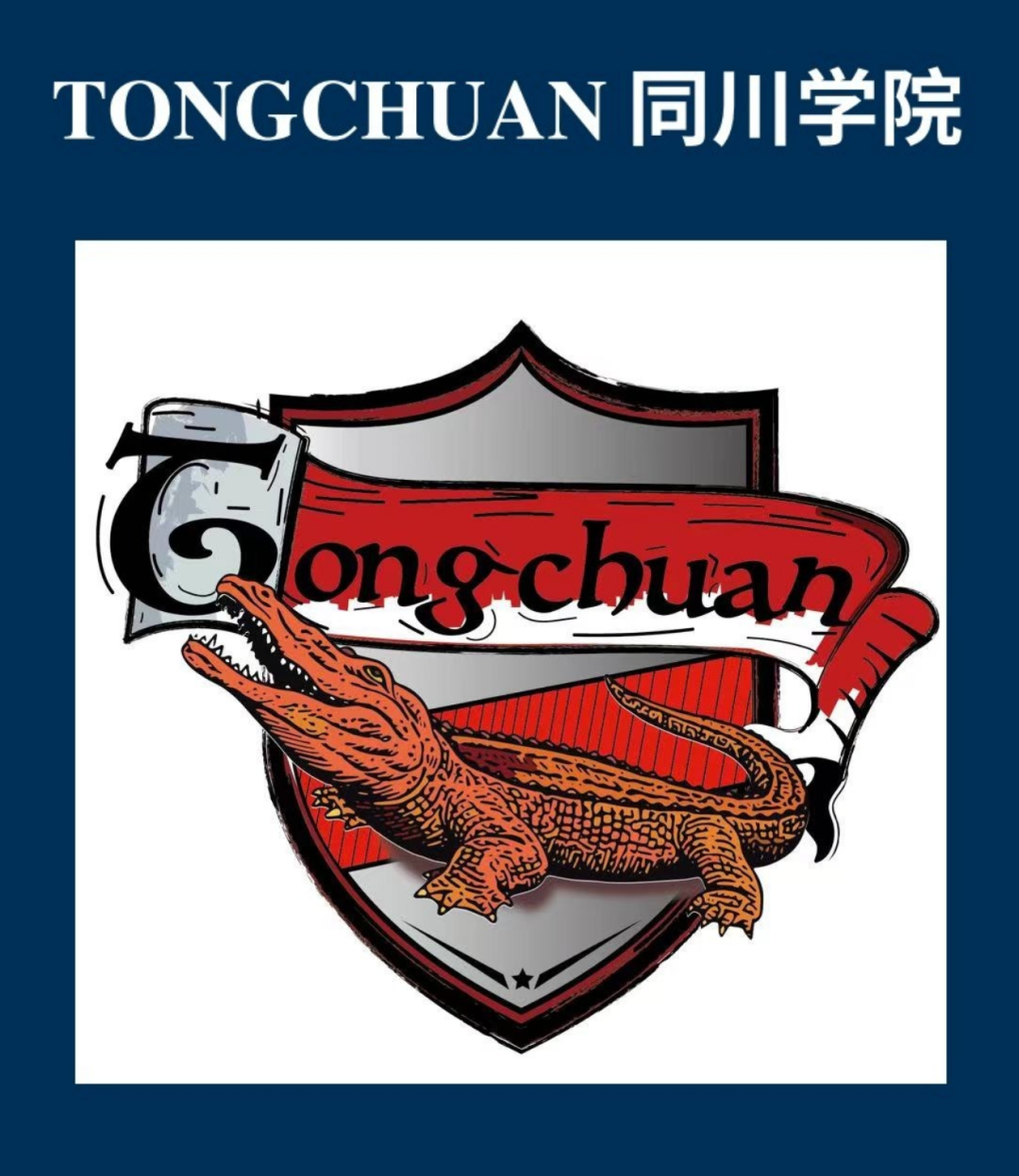 图片 11.png